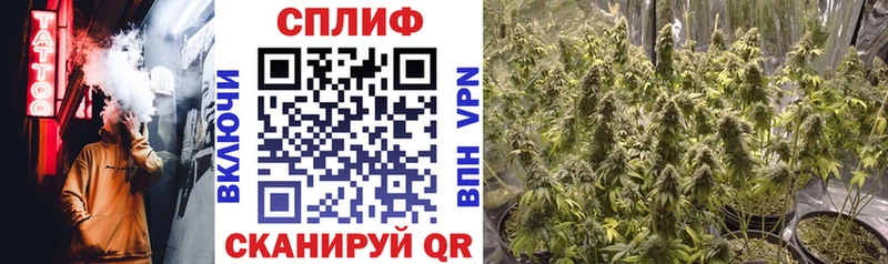 Канабис LSD WEED  Сураж 